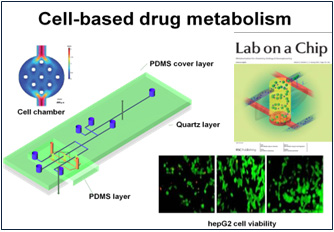 Integrated microfluidic device for cell-based drug metabolism 