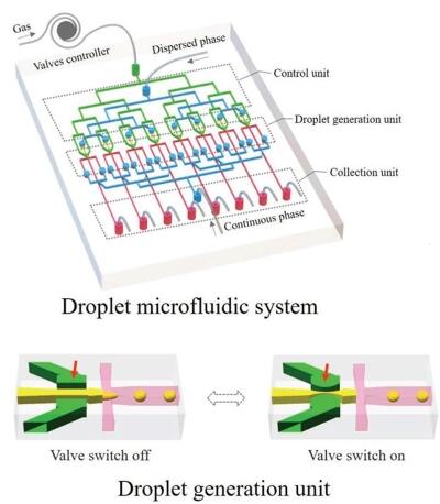 A Microfluidic Strategy for Controllable Generation of Water-in- Water Droplets as Biocompatible Microcarriers