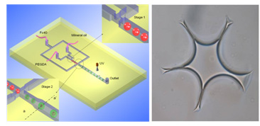 Flexible synthesis of shape-controlled particles